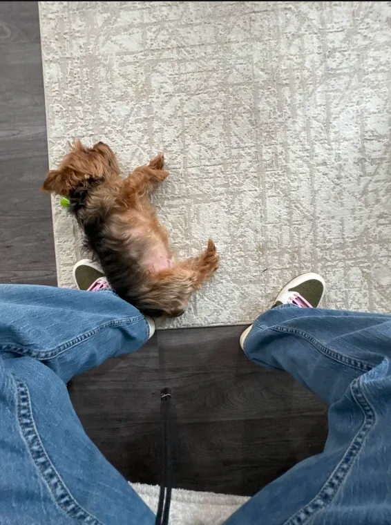 Travis Scott x Air Jordan 1 Low Olive DM7866-200 review Angelina