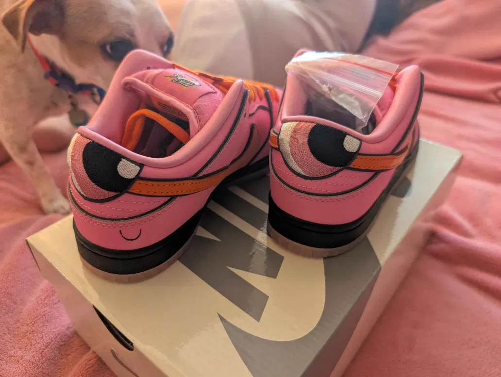 Powerpuff Girls x Nike SB Dunk Low Blossom FD2631-600 review burks 02