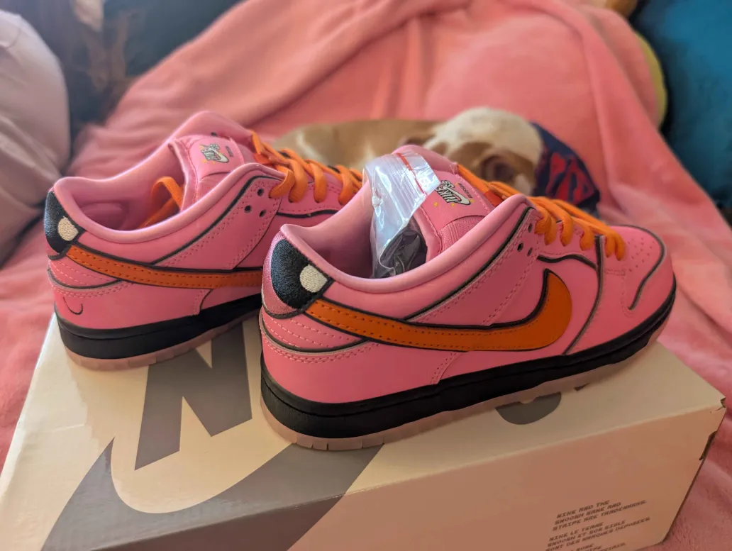 Powerpuff Girls x Nike SB Dunk Low Blossom FD2631-600 review burks 00