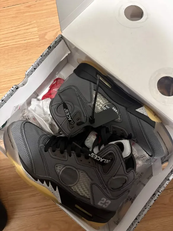 Jordan 5 Off-White Muslin CT8480-001  review 0