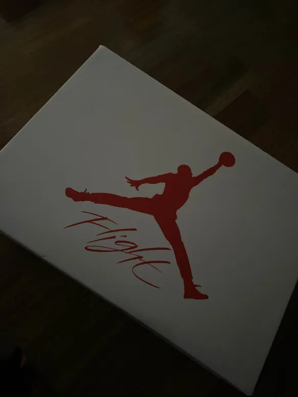 Jordan 4 White Oreo CT8527-100  review 0