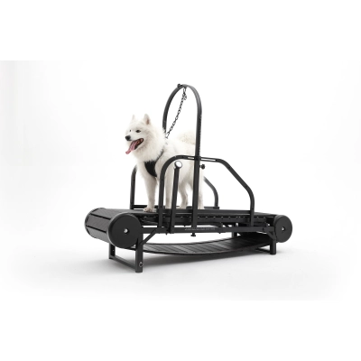 Ronzeil Non-Electric Dog Treadmill 01