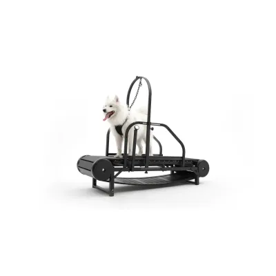 Ronzeil Non-Electric Dog Treadmill 01