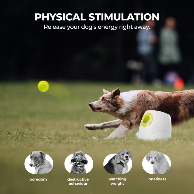 Large Automatic Ball Machine For Medium and Large Dogs Training
