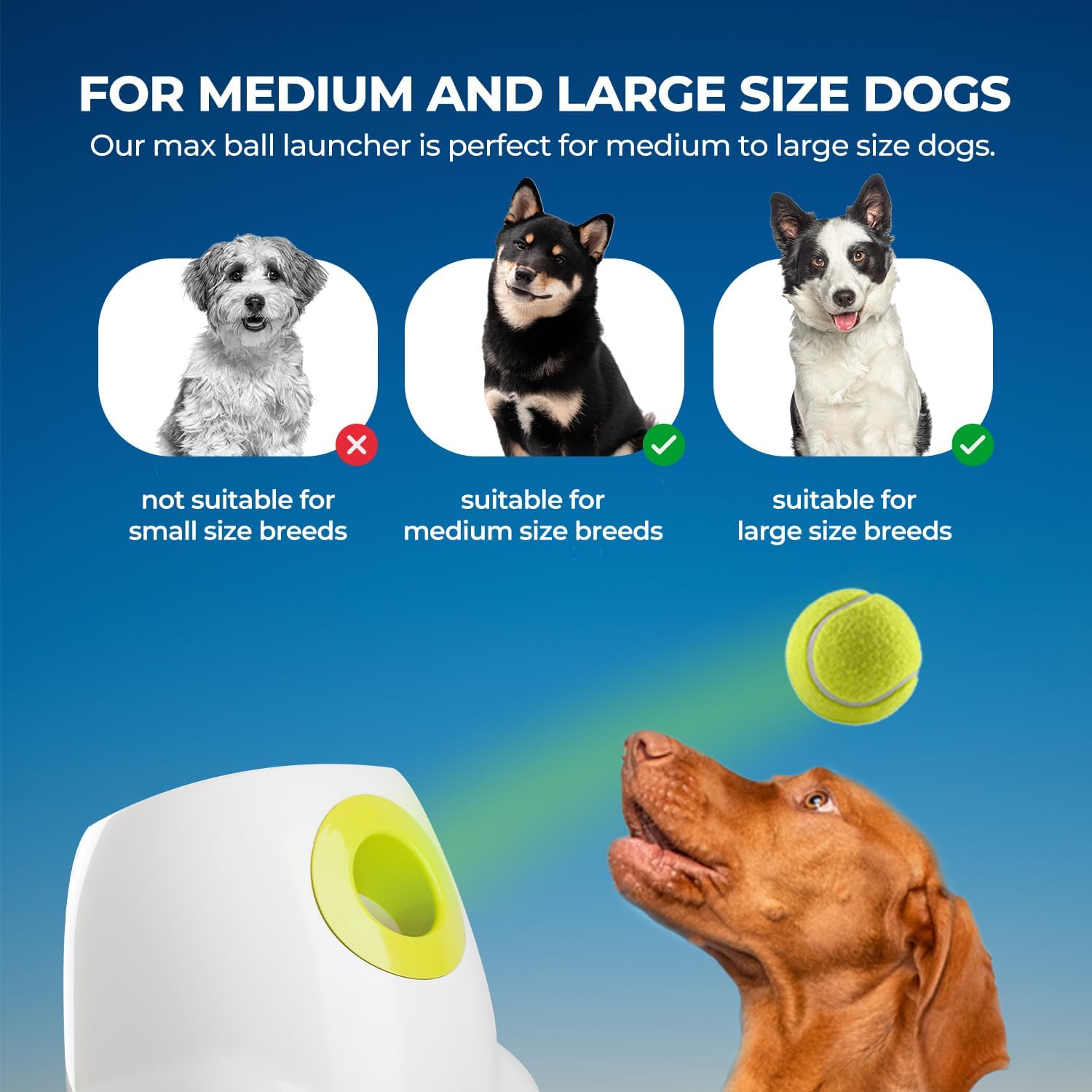 Large Automatic Ball Machine For Medium and Large Dogs Training