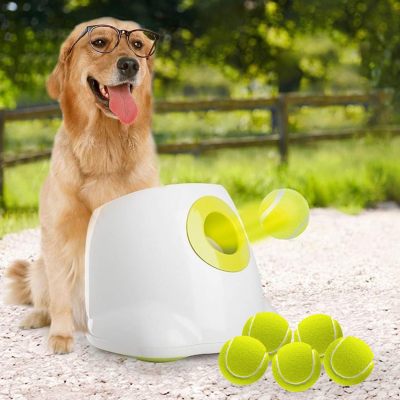 AFP Large Automatic Ball Machine For Medium and Large Dogs Training 01