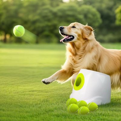 AFP Large Automatic Ball Machine For Medium and Large Dogs Training 02