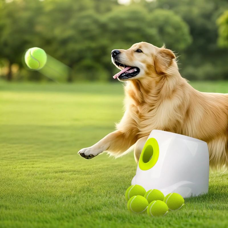 Large Automatic Ball Machine For Medium and Large Dogs Training