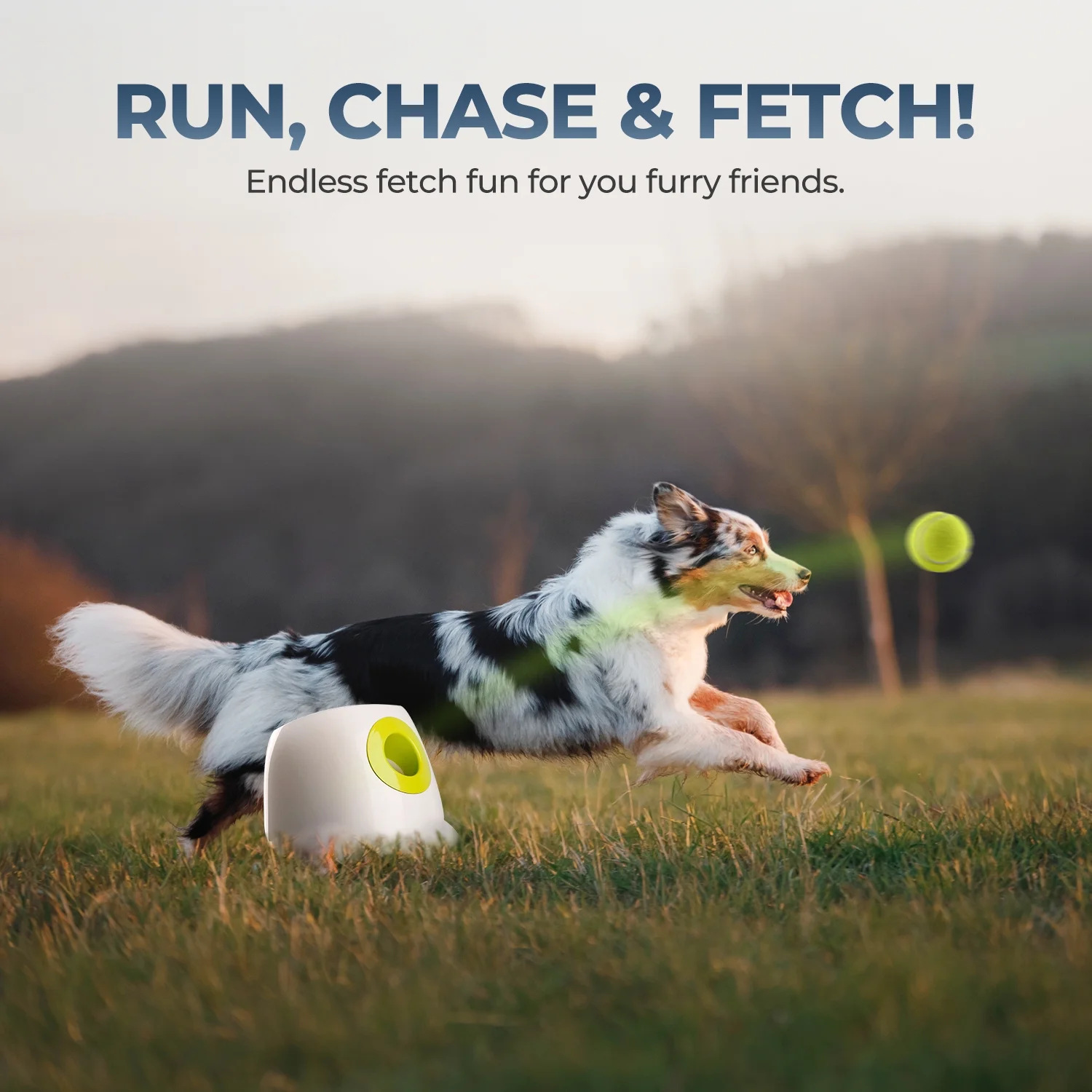 Large Automatic Ball Machine For Medium and Large Dogs Training