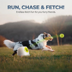 Large Automatic Ball Machine For Medium and Large Dogs Training