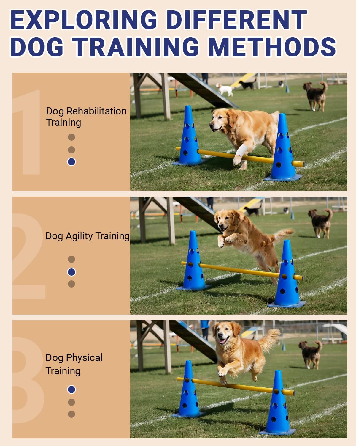 Dog Agility Hurdle Cone Set Canine Agility Training Equipment 6 Set