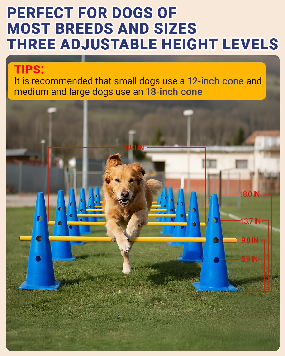 Dog Agility Hurdle Cone Set Canine Agility Training Equipment 6 Set