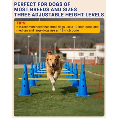 Dog Agility Hurdle Cone Set Canine Agility Training Equipment 6 Set 02