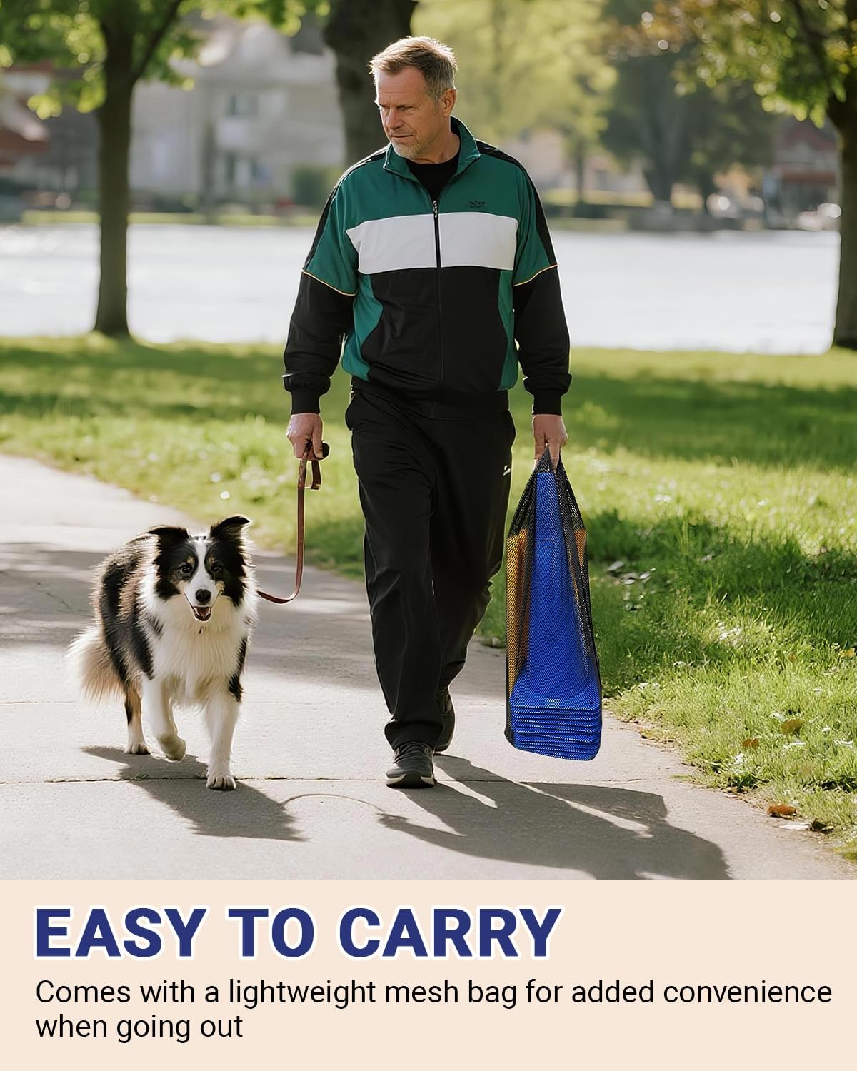 Dog Agility Hurdle Cone Set Canine Agility Training Equipment 6 Set