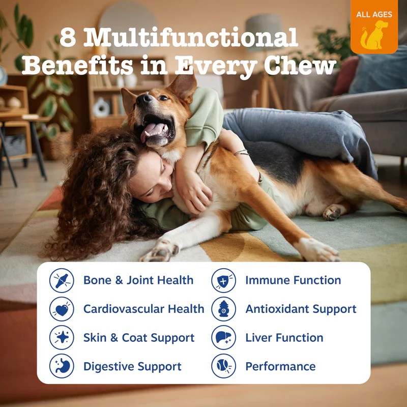 8-in-1 Multivitamin Soft Chew Bites for Dogs Chicken Flavor