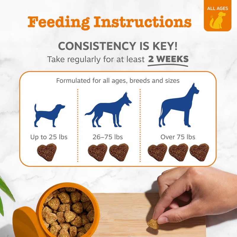 8-in-1 Multivitamin Soft Chew Bites for Dogs