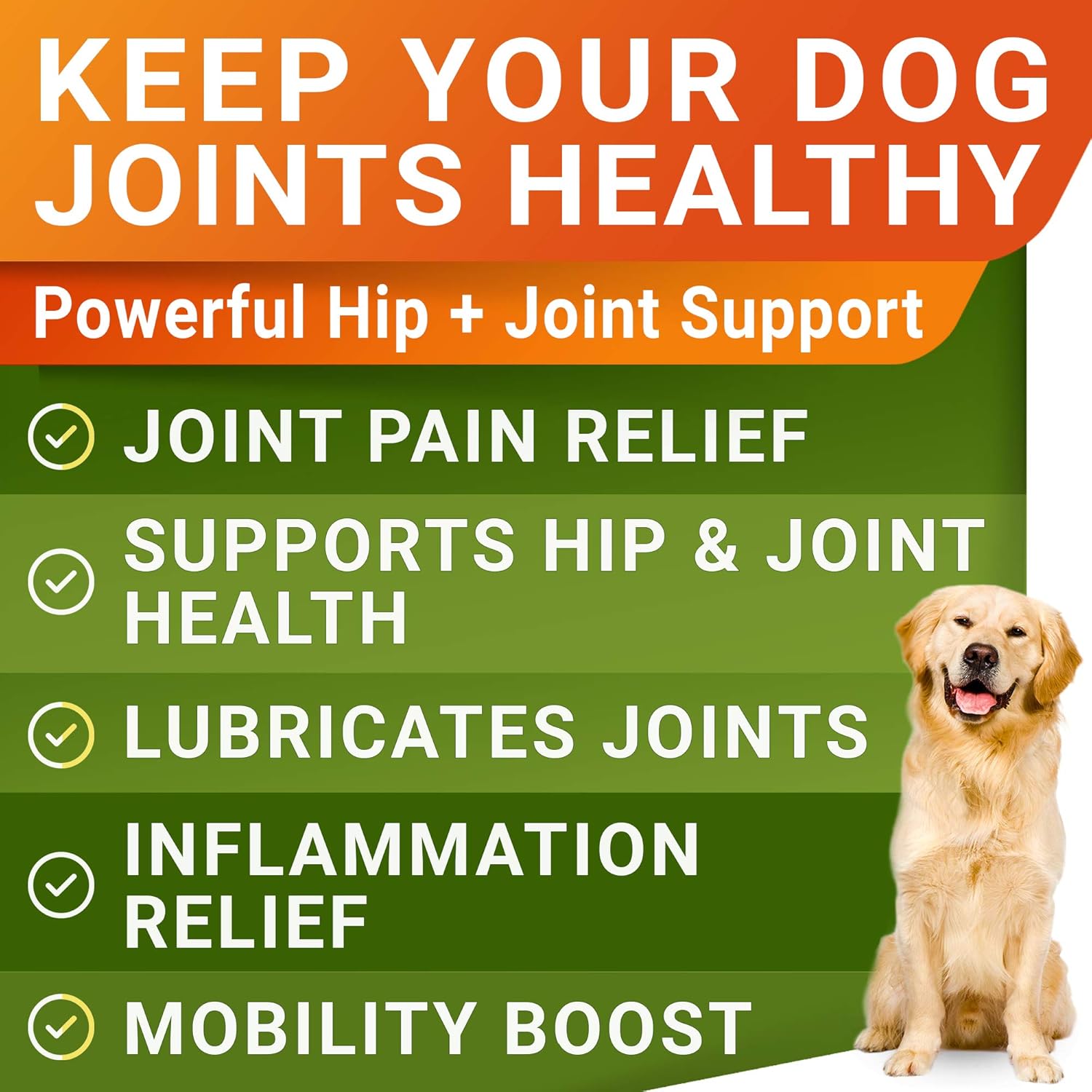 Glucosamine Chondroitin Hip and Joint Supplement for Dogs Chicken Flavor