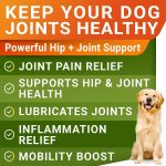 Glucosamine Chondroitin Hip and Joint Supplement for Dogs