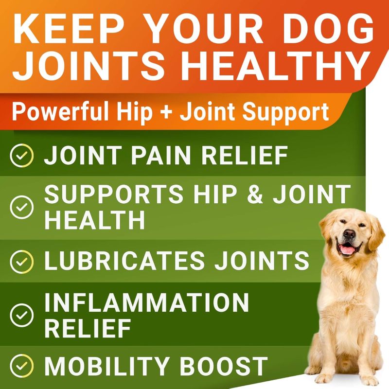 Glucosamine Chondroitin Hip and Joint Supplement for Dogs