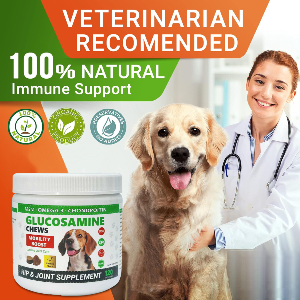 Glucosamine Chondroitin Hip and Joint Supplement for Dogs