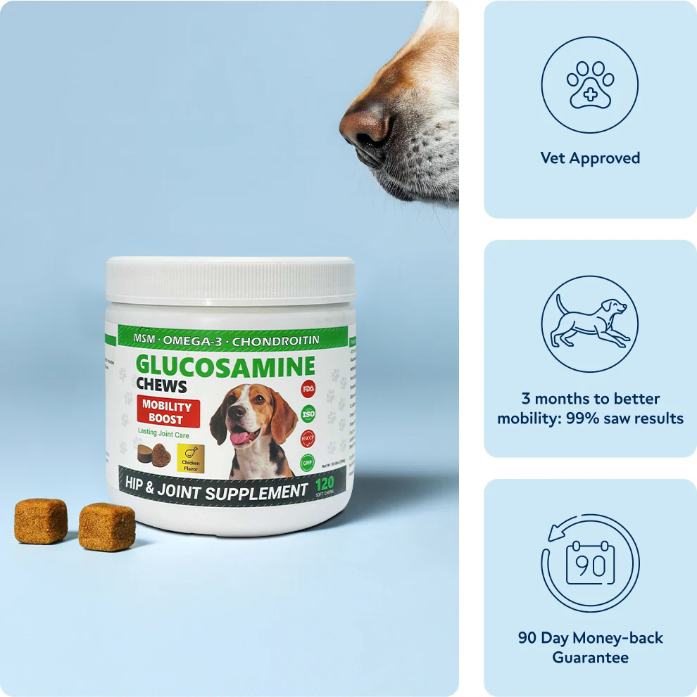Glucosamine Chondroitin Hip and Joint Supplement for Dogs Chicken Flavor