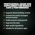 Muscle Building Supplements For Dogs Healthy Muscle & Strength
