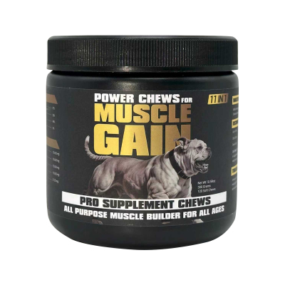 Muscle Building Supplements For Dogs Healthy Muscle & Strength 01