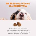 Canine Probiotic Supplement With 6 Strains Build Balanced Gut Ecosystem for Dogs