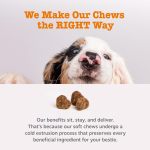 Canine Probiotic Supplement With 6 Strains Build Balanced Gut Ecosystem for Dogs