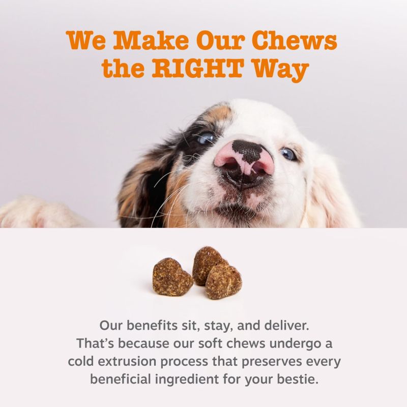Canine Probiotic Supplement With 6 Strains Build Balanced Gut Ecosystem for Dogs