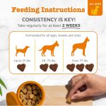 Canine Probiotic Supplement With 6 Strains Build Balanced Gut Ecosystem for Dogs