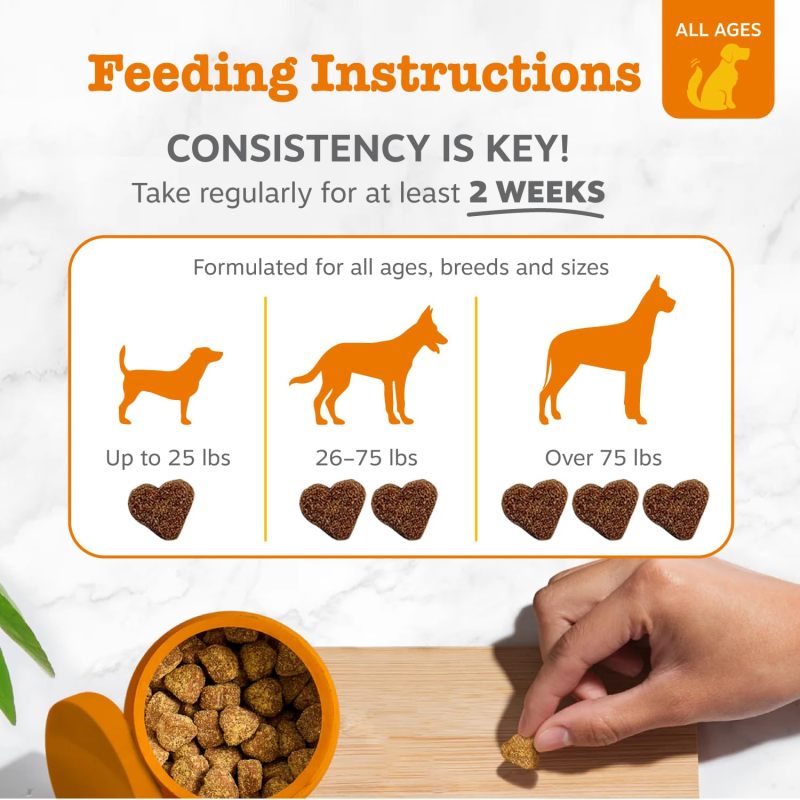 Canine Probiotic Supplement With 6 Strains Build Balanced Gut Ecosystem for Dogs