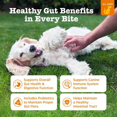 Canine Probiotic Supplement With 6 Strains Build Balanced Gut Ecosystem for Dogs 02