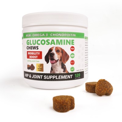 Glucosamine Chondroitin Hip and Joint Supplement for Dogs 01