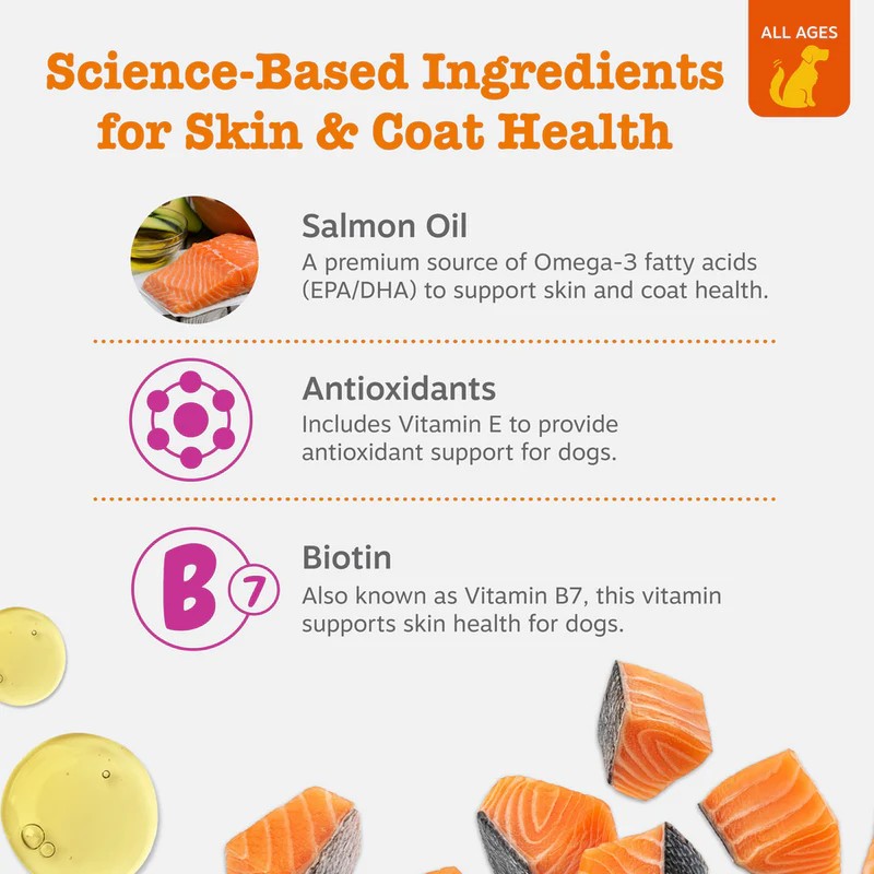 Salmon Soft Chews for Dogs Skin and Coat Supplement Chicken Flavor