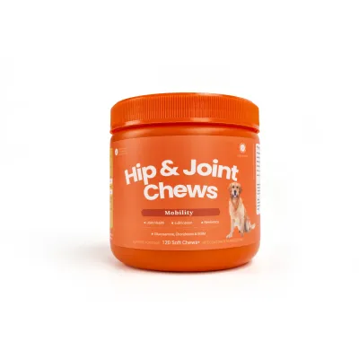 Dog Hip And Joint Supplement Chews Chiecken Flavor 01
