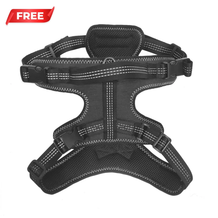 Ronzeil Non-Electric Dog Treadmill