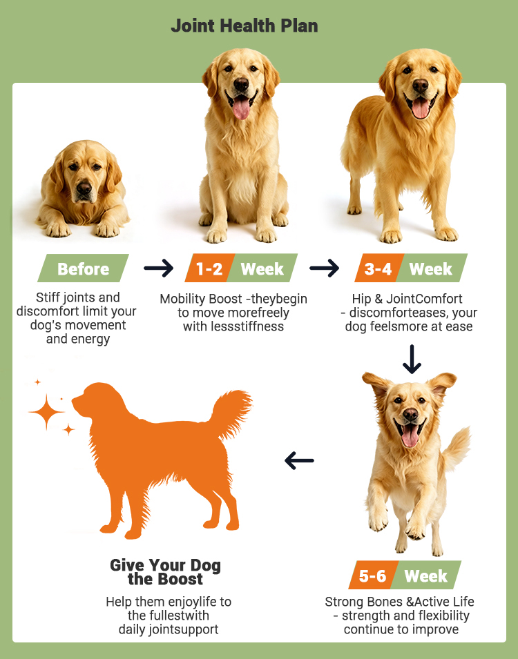Ronzeil Glucosamine Chondroitin Hip and Joint Supplement for Dogs Chicken Flavor