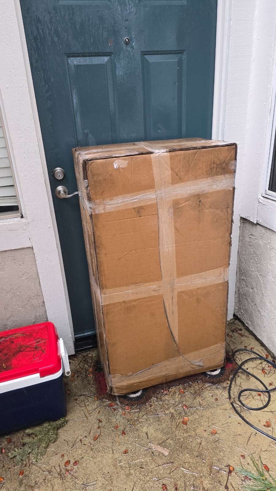 Ronzeil Non-Electric Dog Treadmill review Bryan Metzger 00