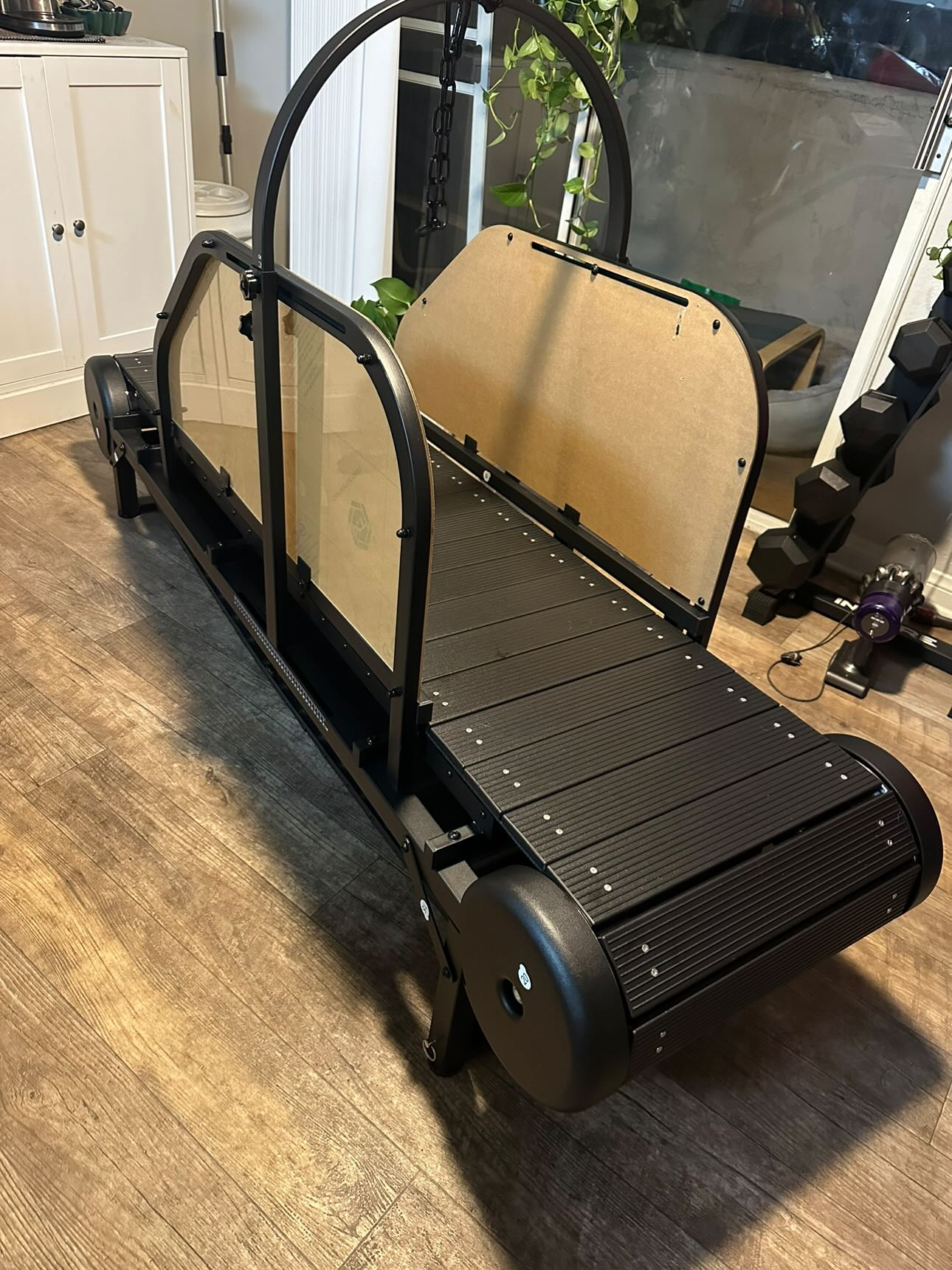 Ronzeil Non-Electric Dog Treadmill review Bryan Metzger 01