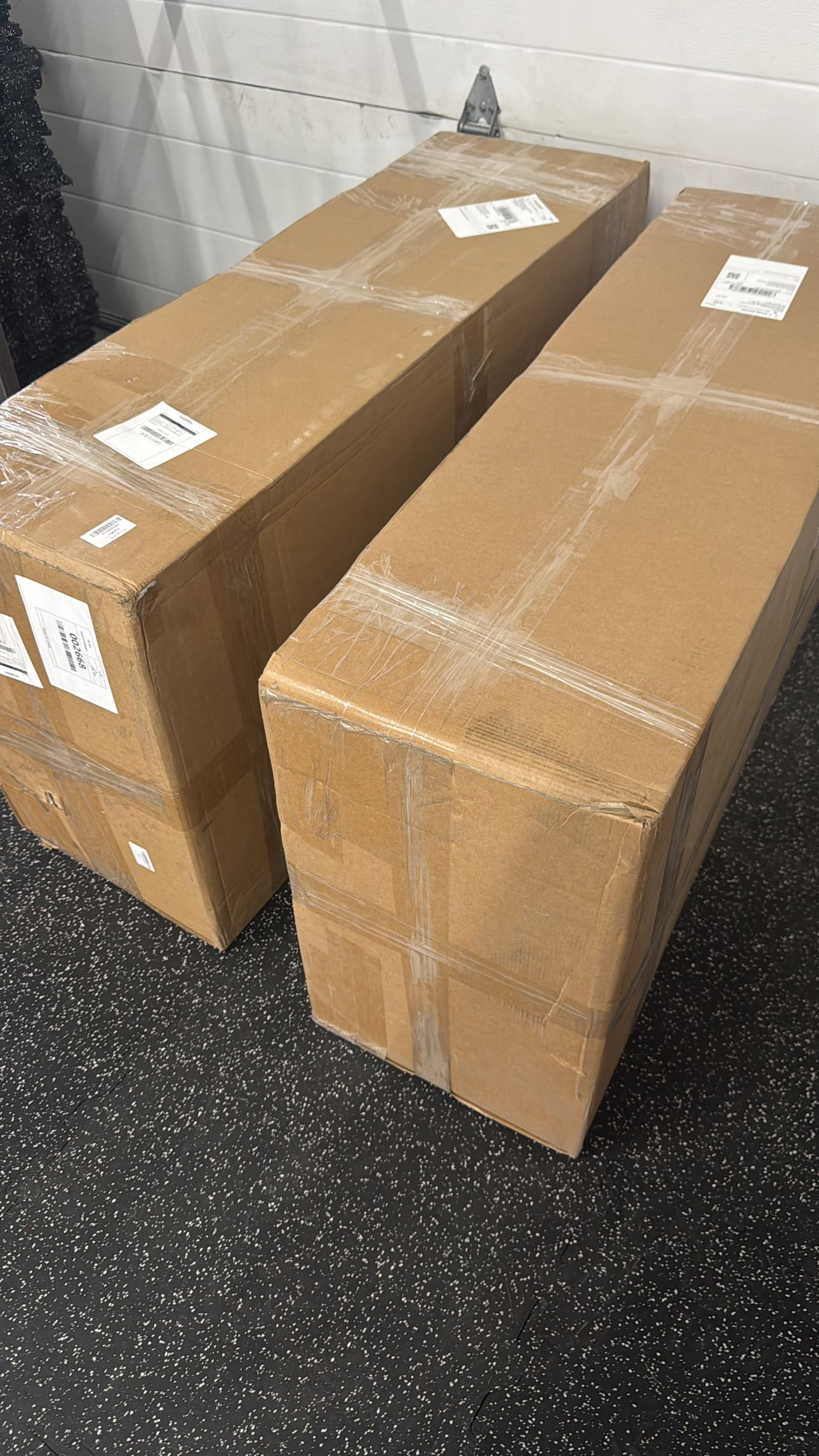 Ronzeil Non-Electric Dog Treadmill review EDDIE 00