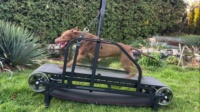 Ronzeil Non-Electric Dog Treadmill review Grzegorz Zwoliński