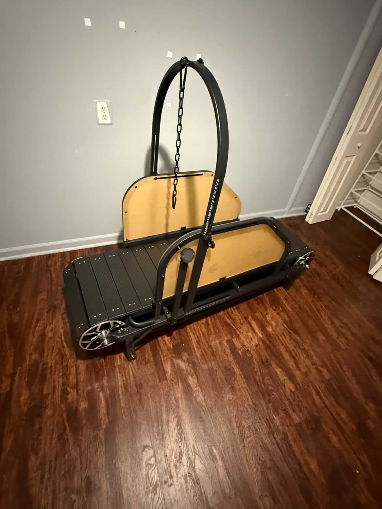 Ronzeil Non-Electric Dog Treadmill review Leslie Johnson