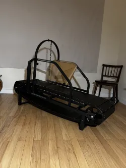 Ronzeil Non-Electric Dog Treadmill review ACA