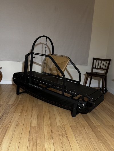 Ronzeil Non-Electric Dog Treadmill review ACA