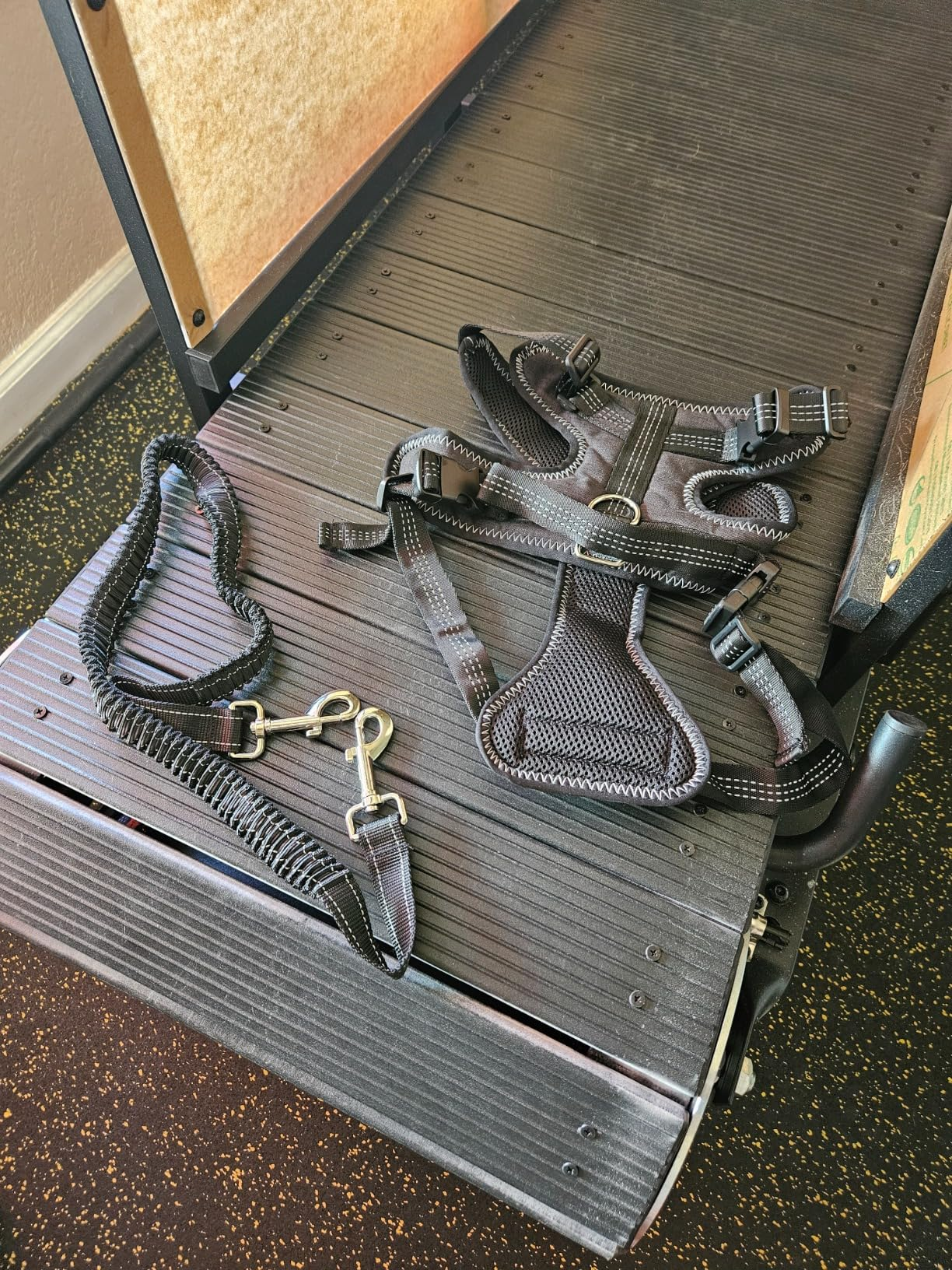 Ronzeil Non-Electric Dog Treadmill review Krankkala