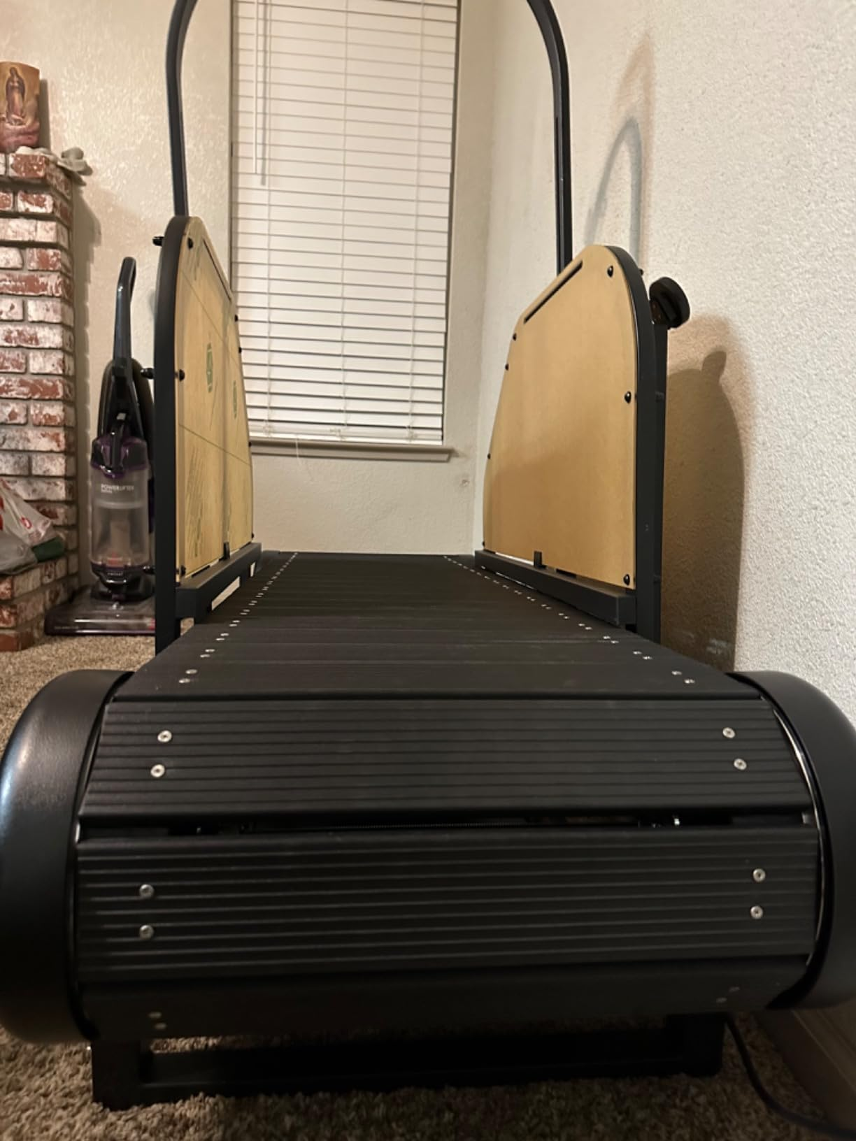 Ronzeil Non-Electric Dog Treadmill review Chavez