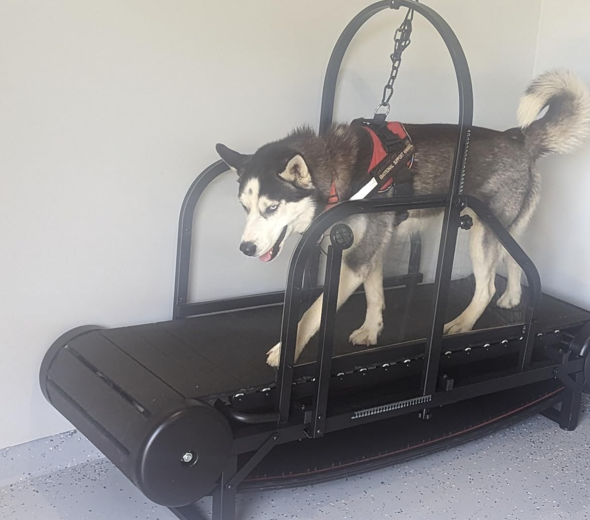 Ronzeil Non-Electric Dog Treadmill review Jennifer