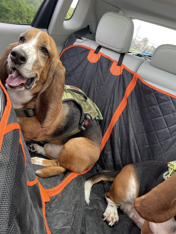 8-in-1 Multivitamin Soft Chew Bites for Dogs Chicken Flavor review Aurélie Mathieu 00