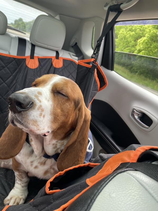 8-in-1 Multivitamin Soft Chew Bites for Dogs Chicken Flavor review Aurélie Mathieu 01